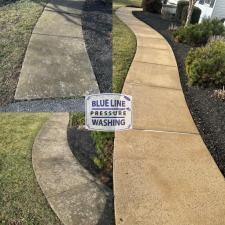 Deck and Concrete Cleaning 2