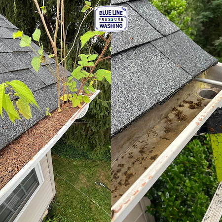 Gutter brightening 101 removing tiger stripes without damaging gutters
