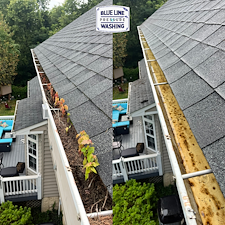 From-Gutter-Jungle-to-Flowing-Free-Martinsburg-Gutter-Cleaning-Success-1 0