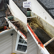 From-Gutter-Jungle-to-Flowing-Free-Martinsburg-Gutter-Cleaning-Success-1 1