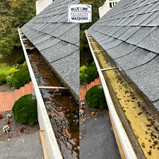 From-Gutter-Jungle-to-Flowing-Free-Martinsburg-Gutter-Cleaning-Success-1 2